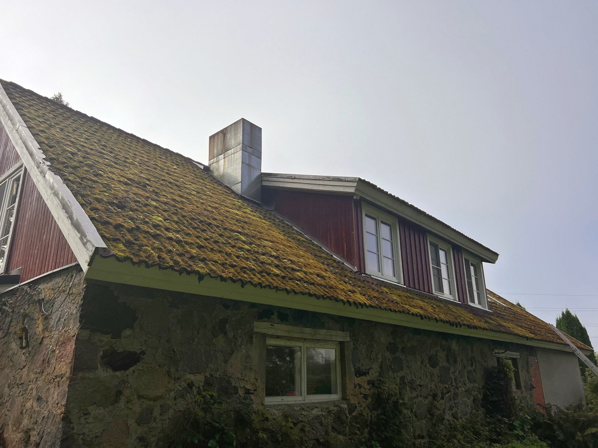 Paksun sammaleen peittämä tiilikatto